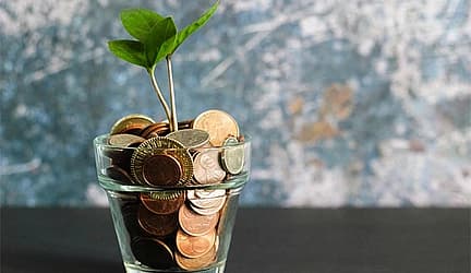 Image alternative text